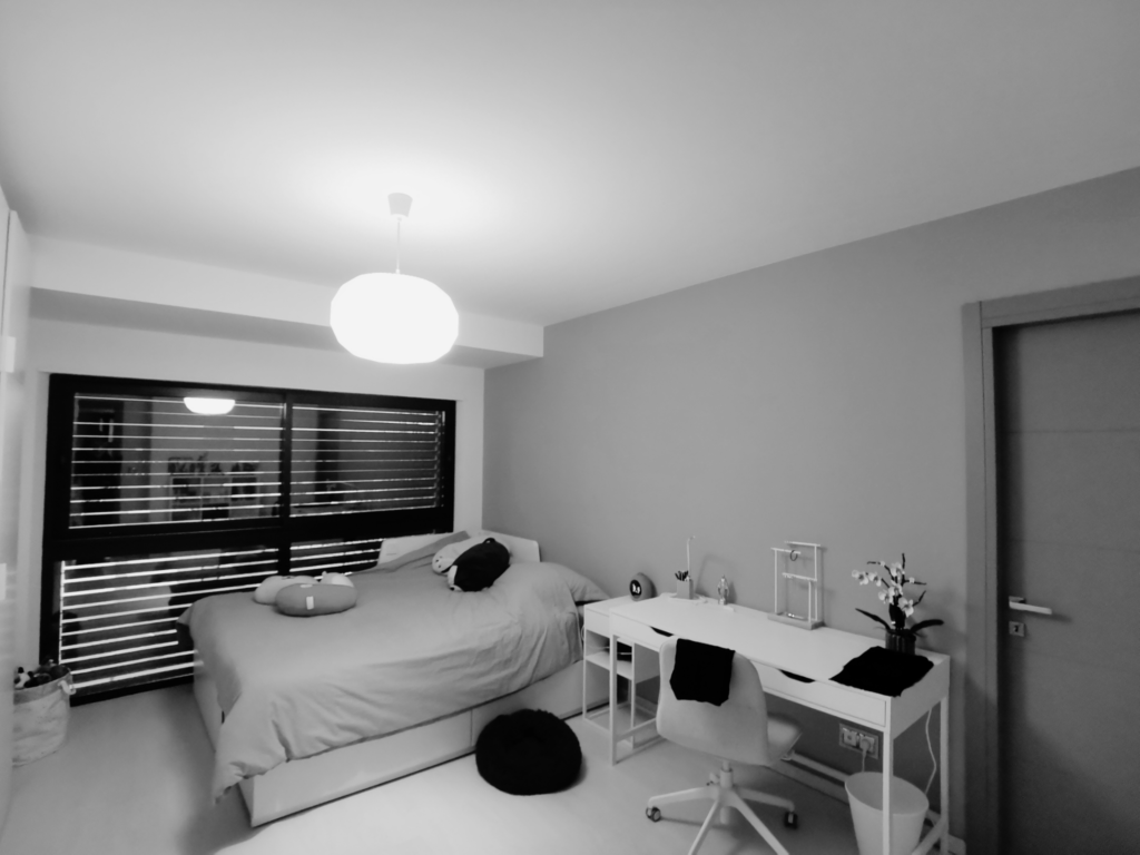 emdecoration-belfort - projet cuniot - avant